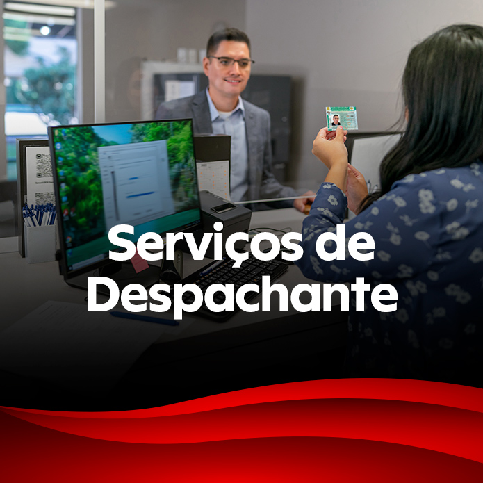 Serviços de Despachante - Pulcinelli soluções especializadas de trânsito